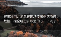 赛果冷门，足总杯现场传出伤病隐患，数据一摆全明白，球迷的心一下沉了！