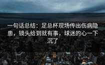 一句话总结：足总杯现场传出伤病隐患，镜头给到就有事，球迷的心一下沉了