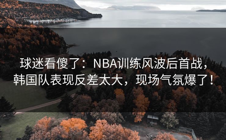 球迷看傻了：NBA训练风波后首战，韩国队表现反差太大，现场气氛爆了！  第1张