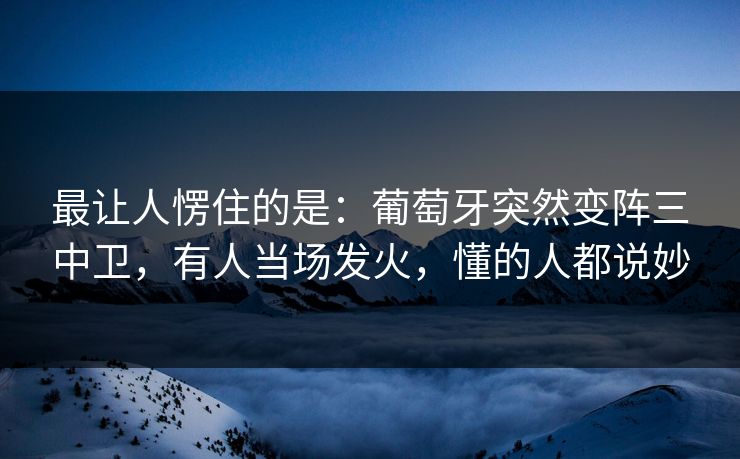 最让人愣住的是：葡萄牙突然变阵三中卫，有人当场发火，懂的人都说妙  第1张
